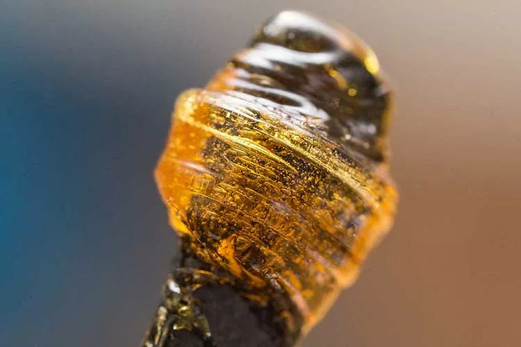 concentrates